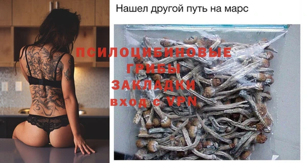 ECSTASY Алзамай