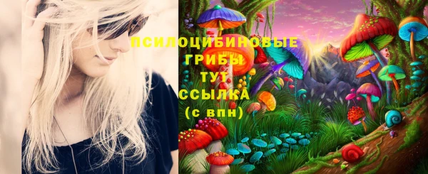 MDMA Premium VHQ Протвино