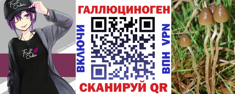 дарнет шоп  Багратионовск  Псилоцибиновые грибы MAGIC MUSHROOMS 
